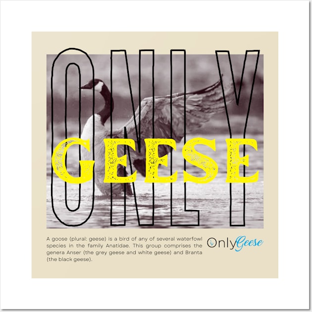 OnlyGeese Streetwear Style Wall Art by OnlyGeeses